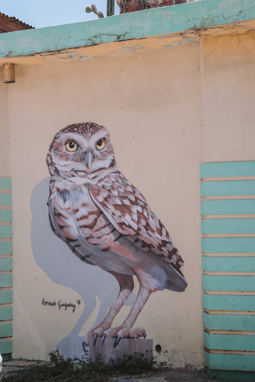 Graffiti d'un hibou à San Nicolas - Aruba - Îles ABC - Caraïbes