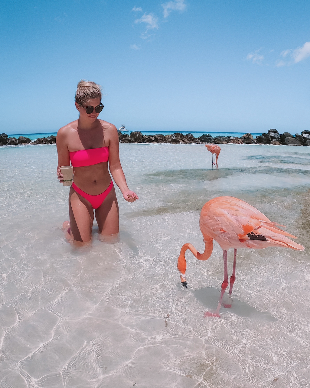 Girl trying to feed the flamingos at Renaissance Island - Aruba - ABC Islands