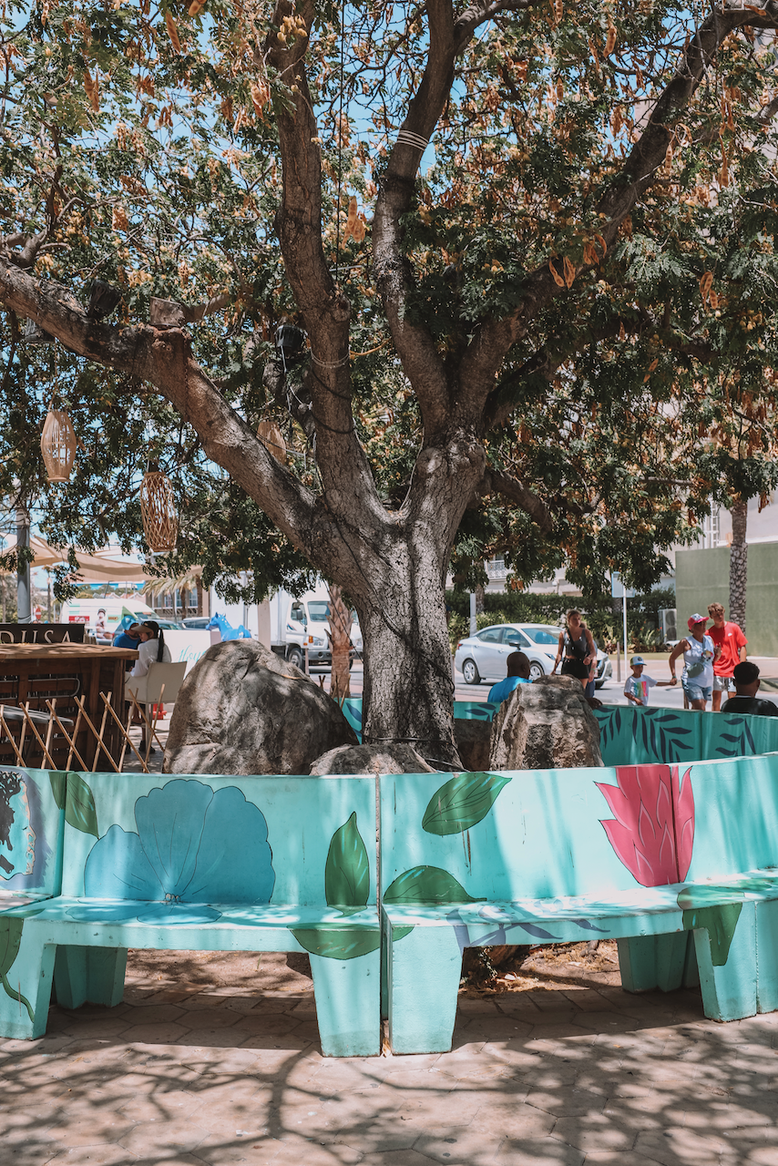 Cute bench in Oranjestad - Aruba - ABC Islands