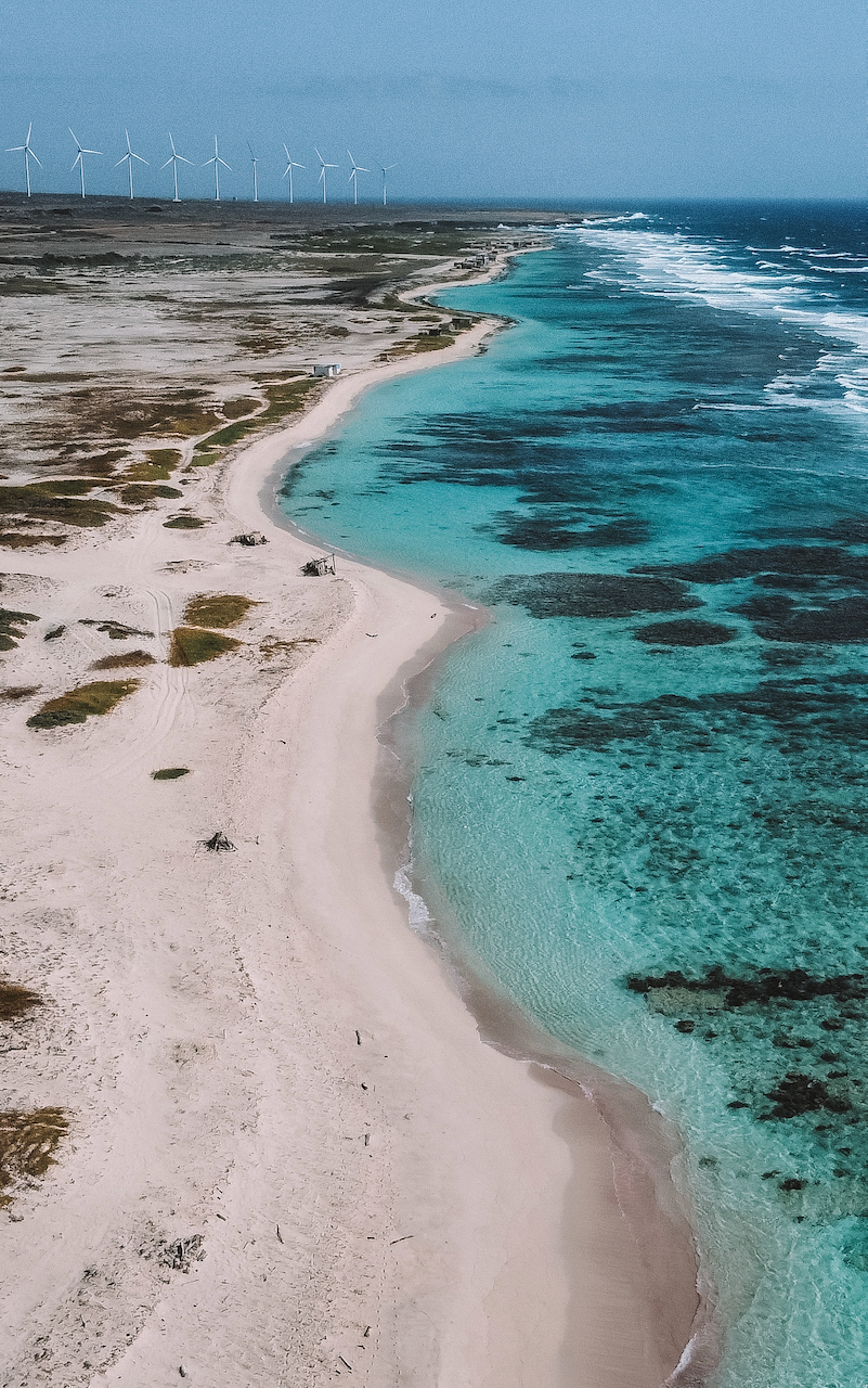 The coast in Boca Grandi seen by drone with windmills in the background - Aruba - ABC Islands