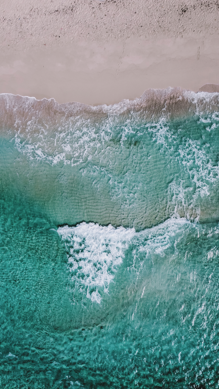 Drone shot of turquoise water in Boca Grandi - Aruba - ABC Islands
