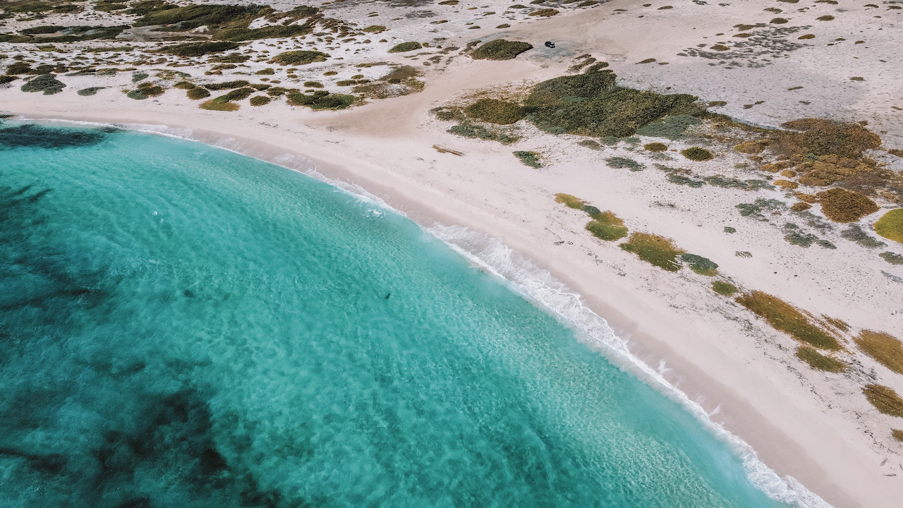 Boca Grandi Beach - Drone DJI Mavic Mini 2 - Aruba - ABC Islands