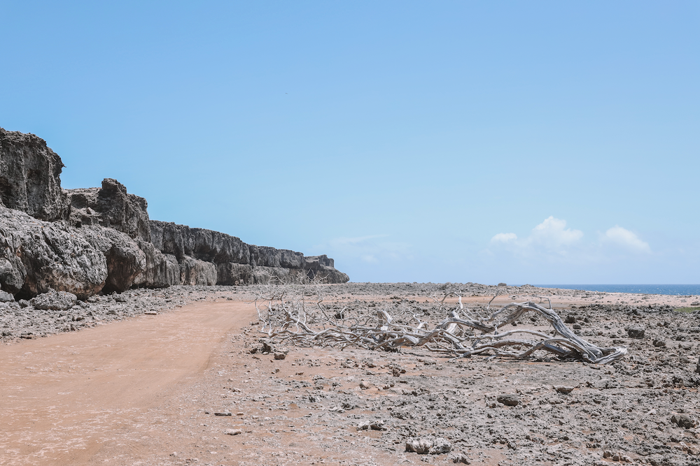Empty road and rocky cliffs - Washington-Slagbaai National Park - Bonaire - ABC Islands