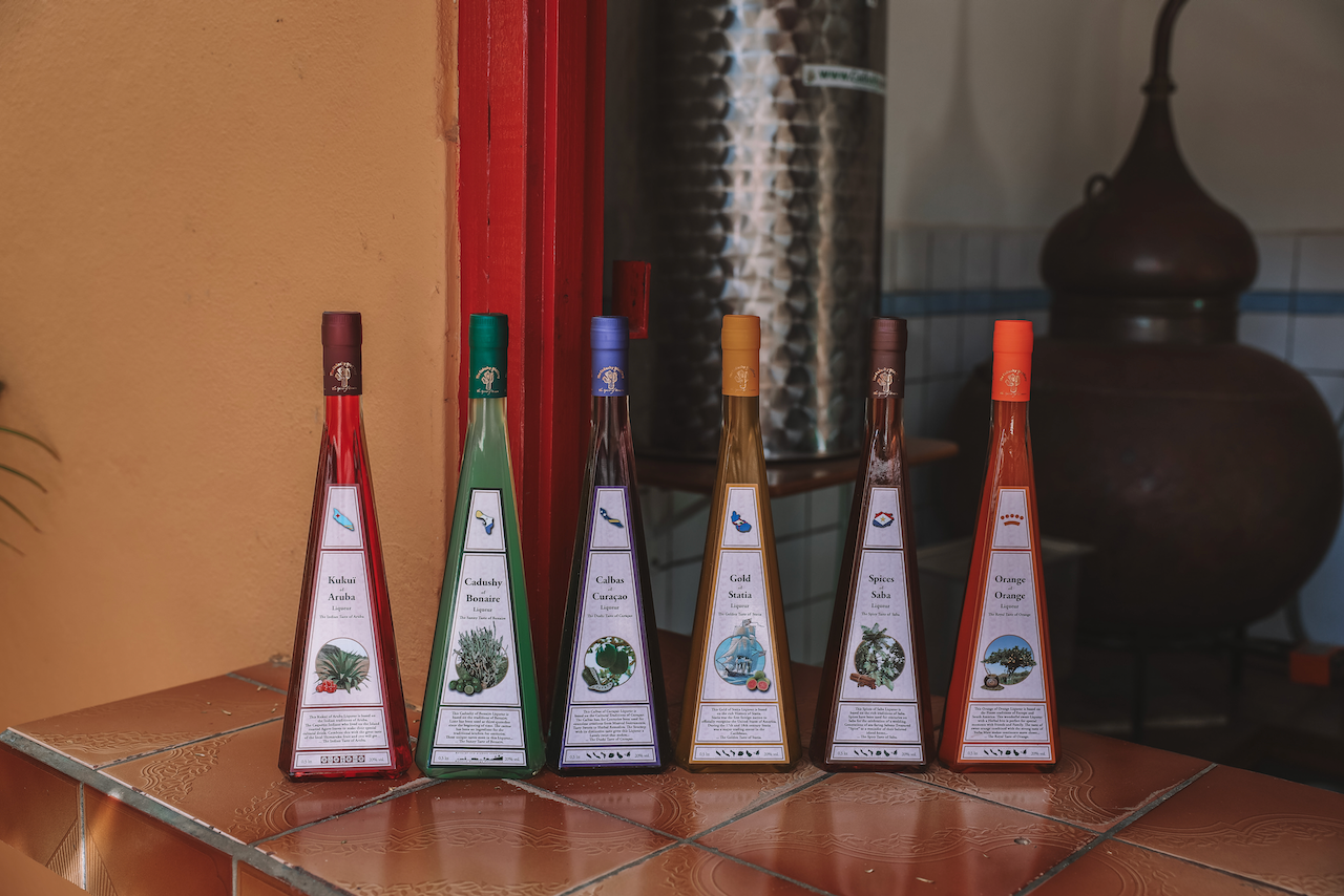 Liqueur de cactus à la distillerie Cadushy Rincon - Bonaire - Îles ABC - Caraïbes