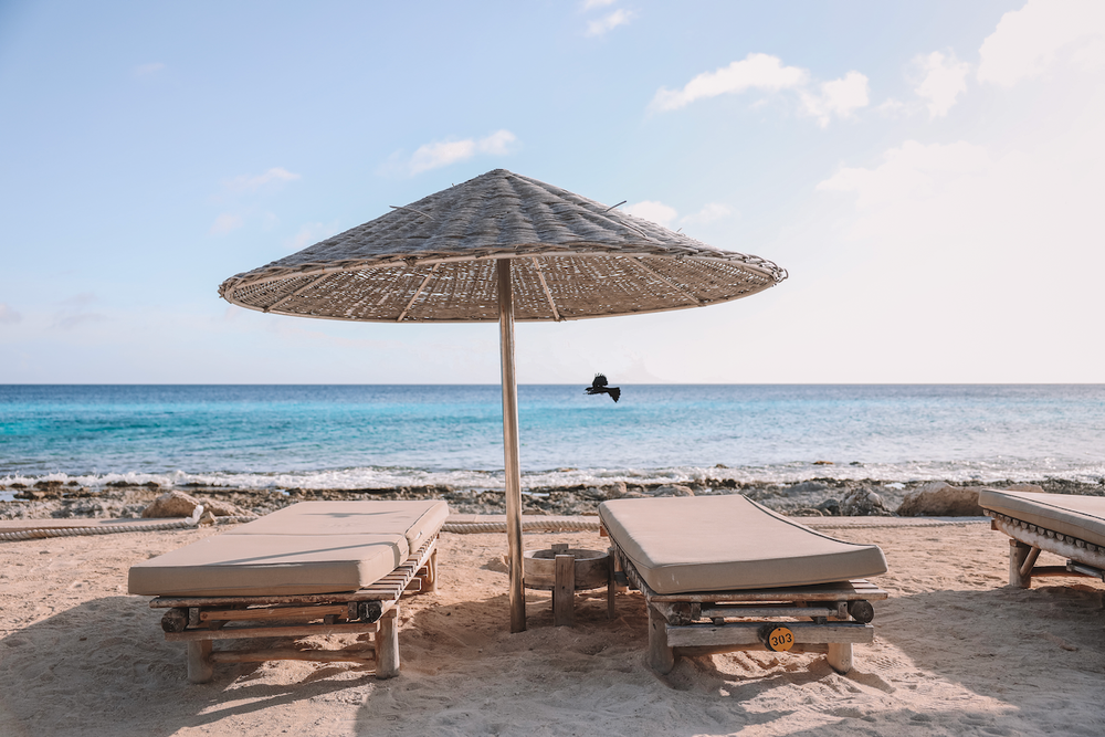 Beach loungers at Ocean Oasis - Bonaire - ABC Islands