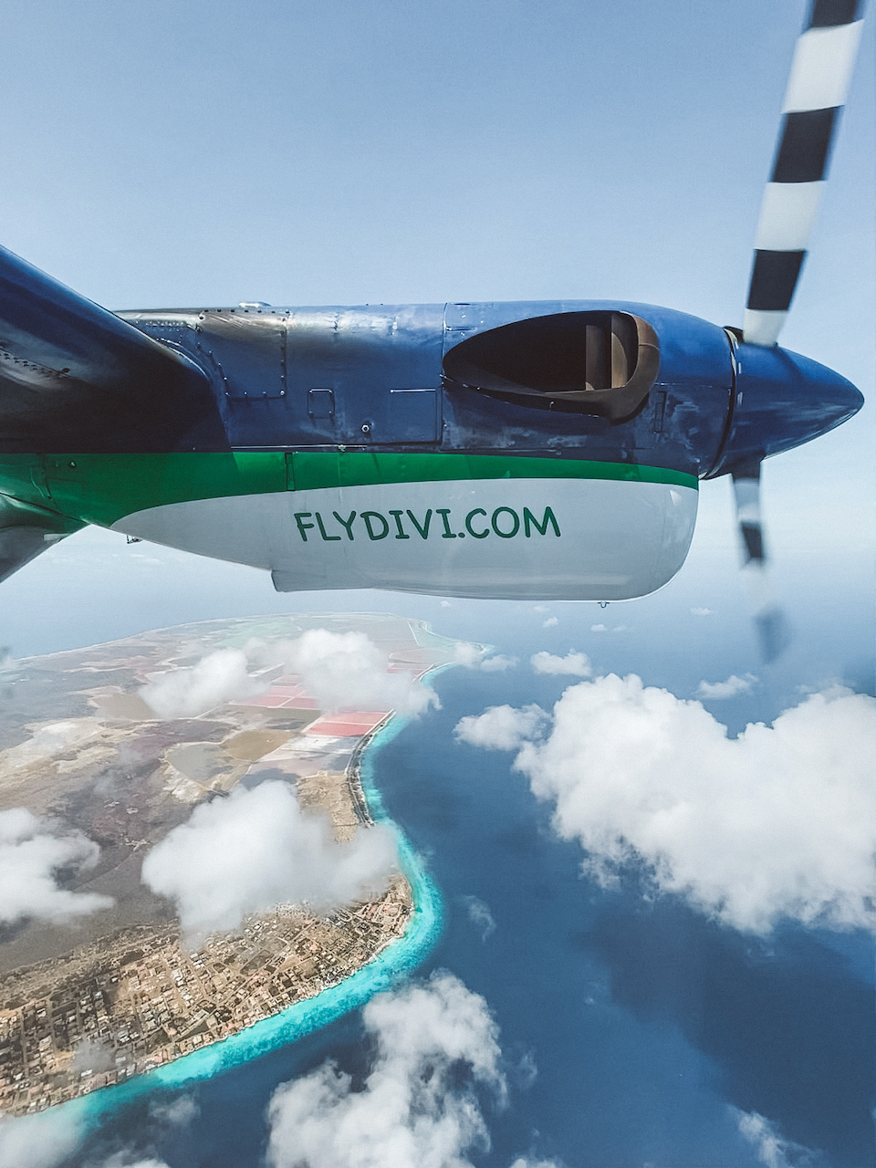 L'île vue depuis l'avion à hélices Divi Air - Bonaire - Îles ABC - Caraïbes