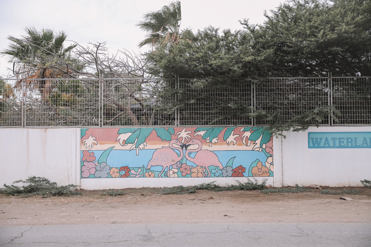 Murale de flamants roses - Bonaire - Îles ABC - Caraïbes
