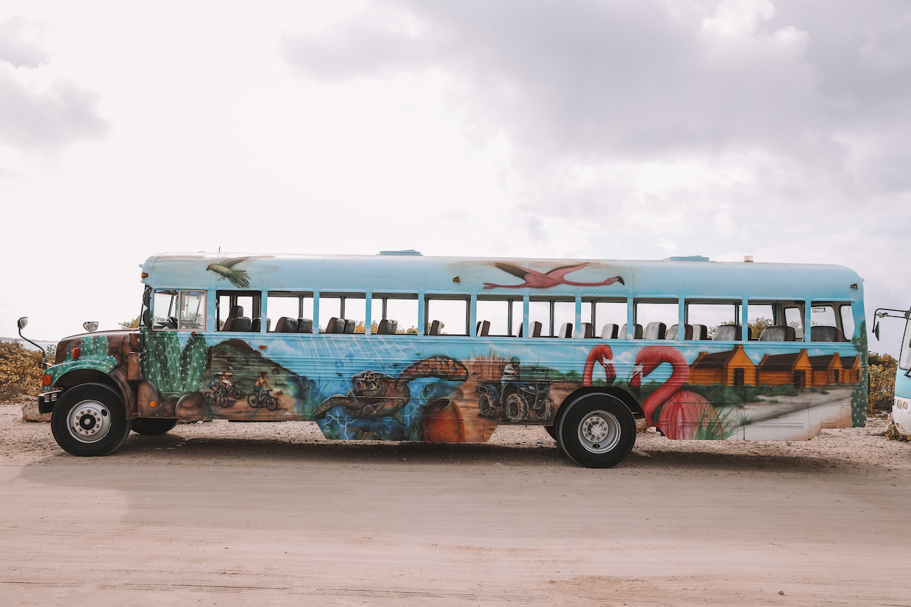Autobus scolaire décoré avec des peintures de flamants roses - Bonaire - Îles ABC - Caraïbes