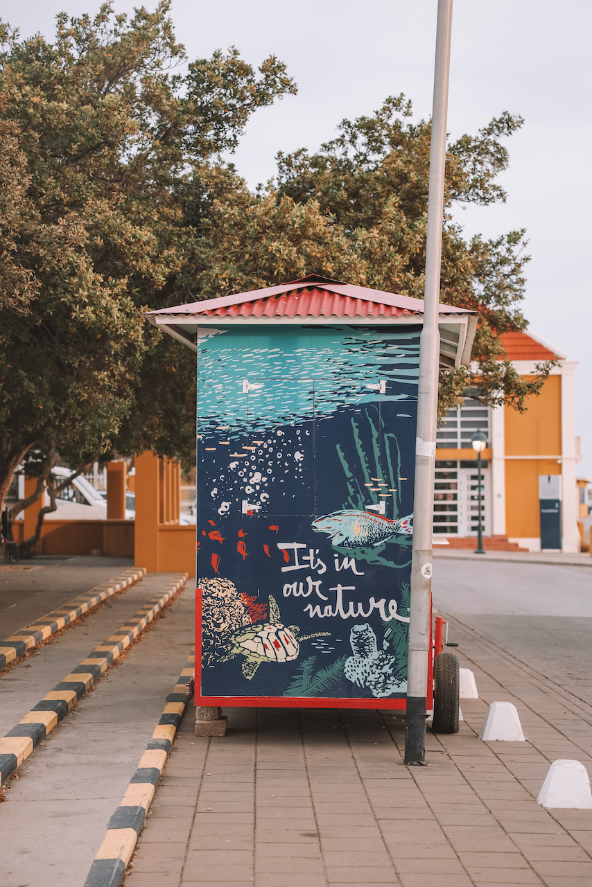 Graffiti à l'arrêt de bus de Kralendijk - Bonaire - Îles ABC - Caraïbes