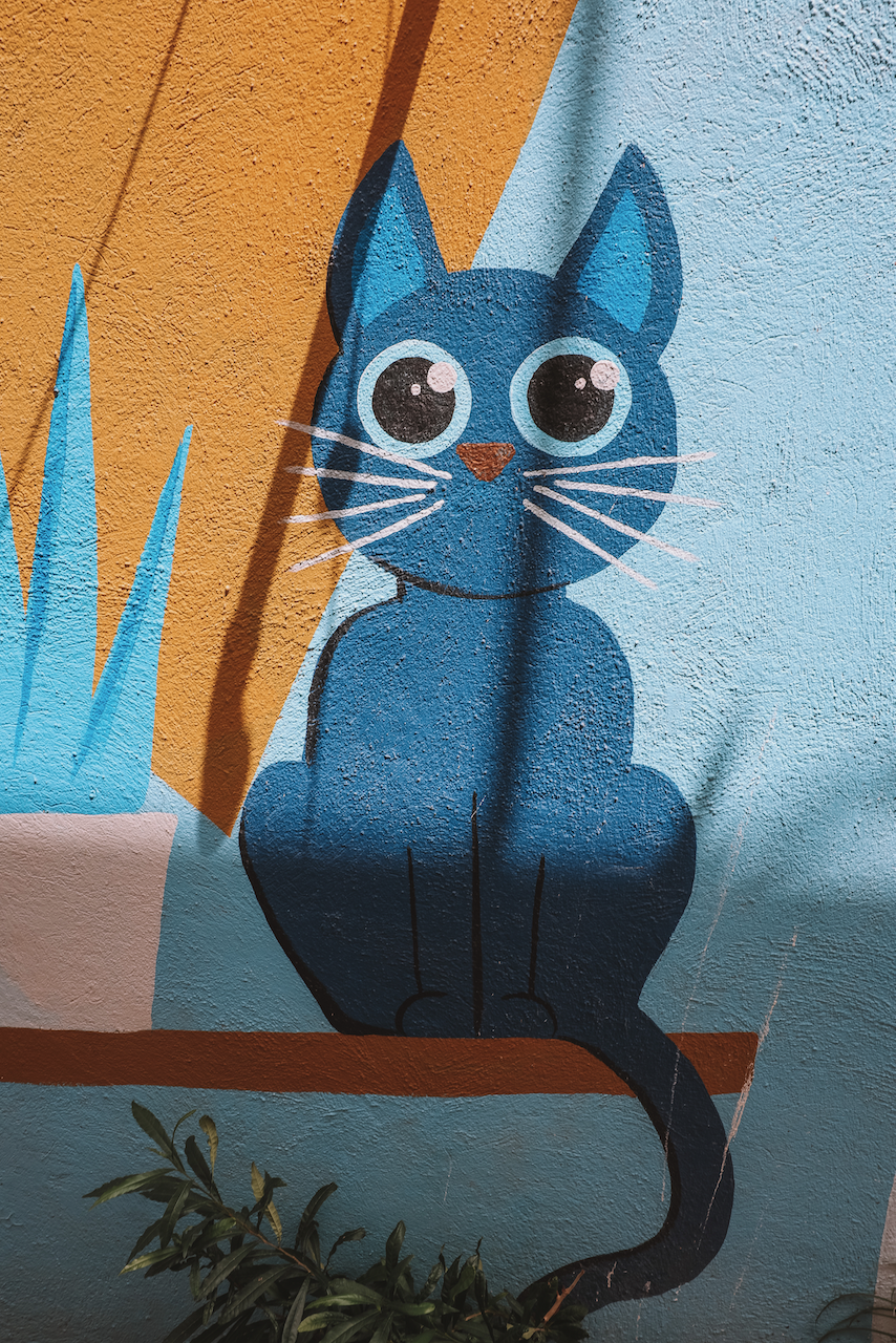 Chat mignon graffiti - Willemstad - Curaçao - Îles ABC - Caraïbes