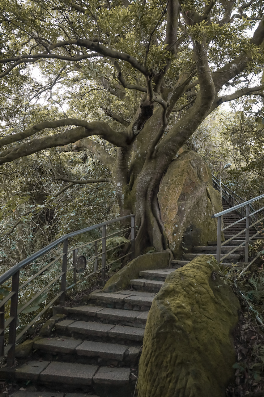 L'escalier menant à Elephant Peak - Taipei - Taïwan