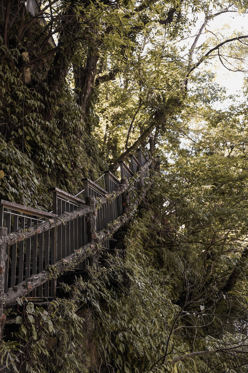 L'escalier recouvert de mousse - Shifen Waterfall - Taipei - Taïwan