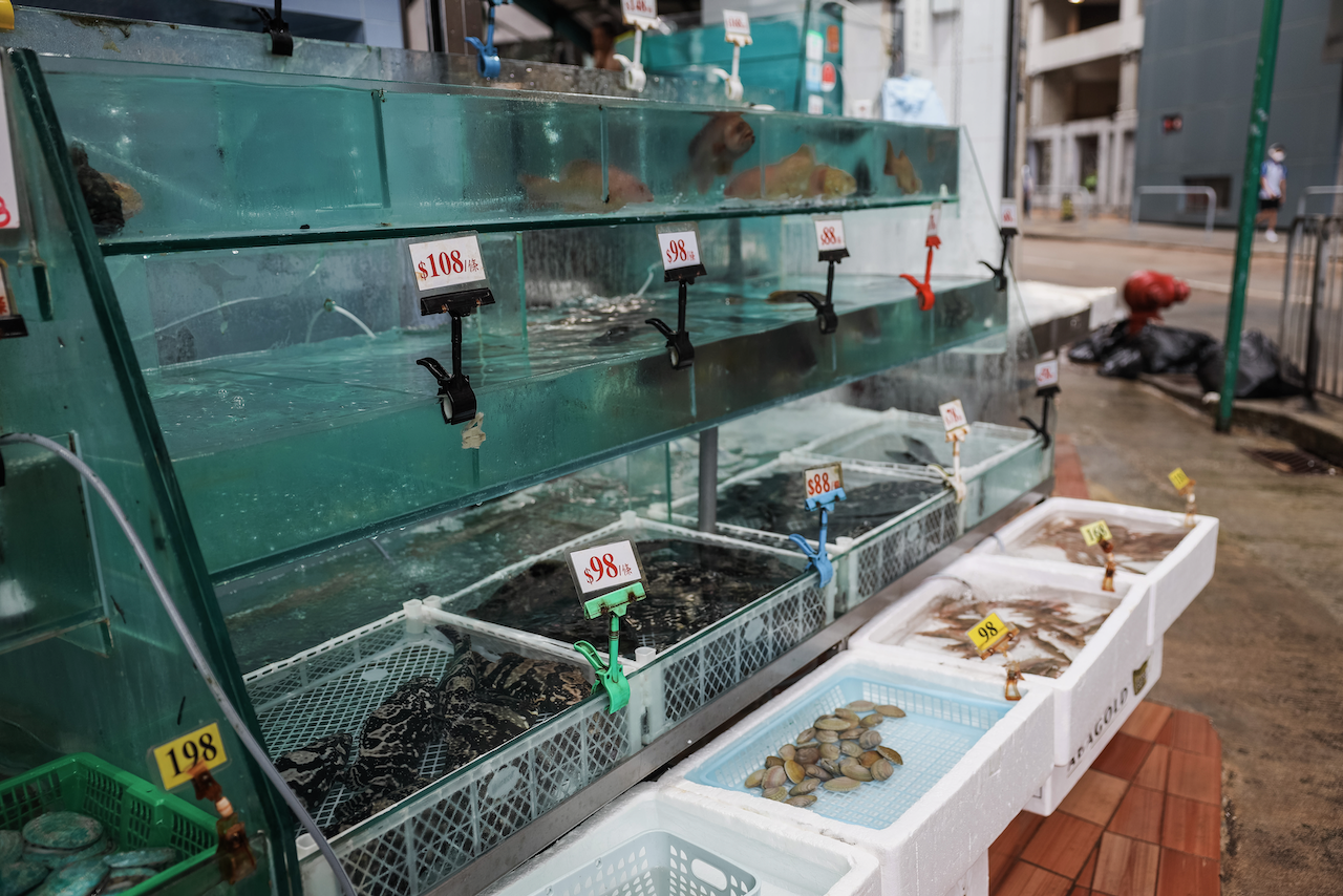 Fruits de mer et poisson frais au marché près de Montane Mansion - Hong Kong
