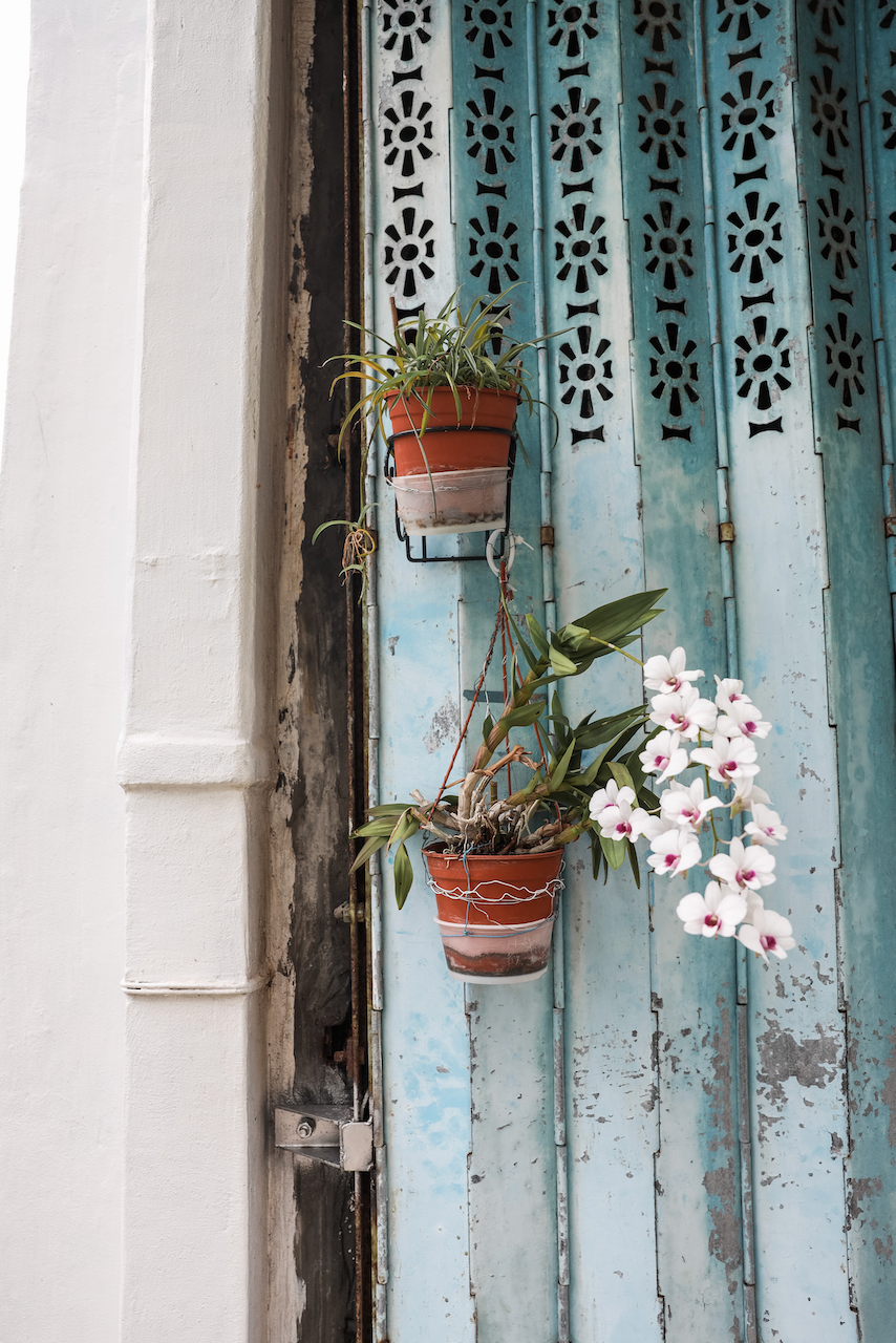 Cute pot planters in Tai O - Hong Kong