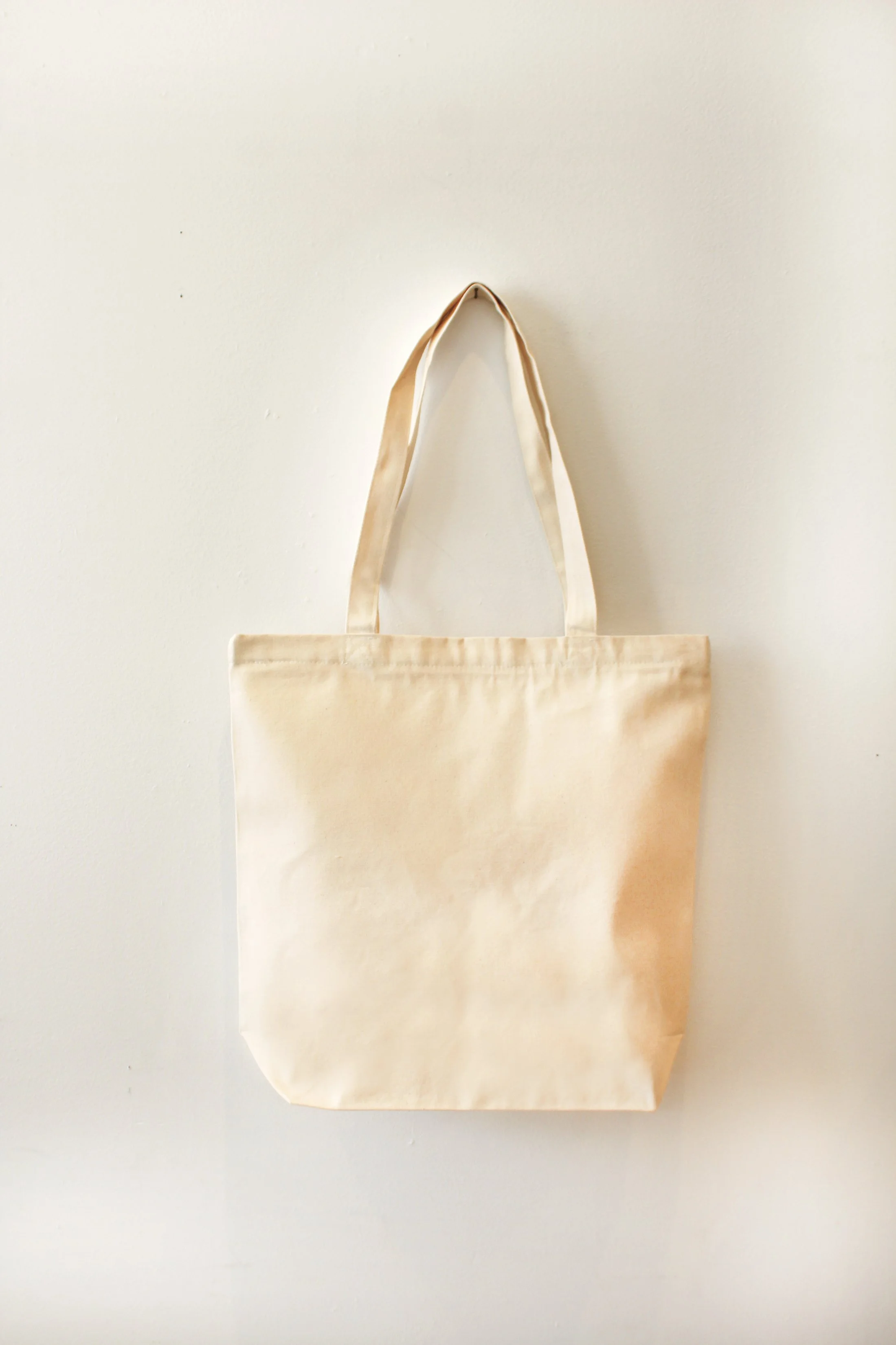 Tote Bag BackIMG_6950.JPG