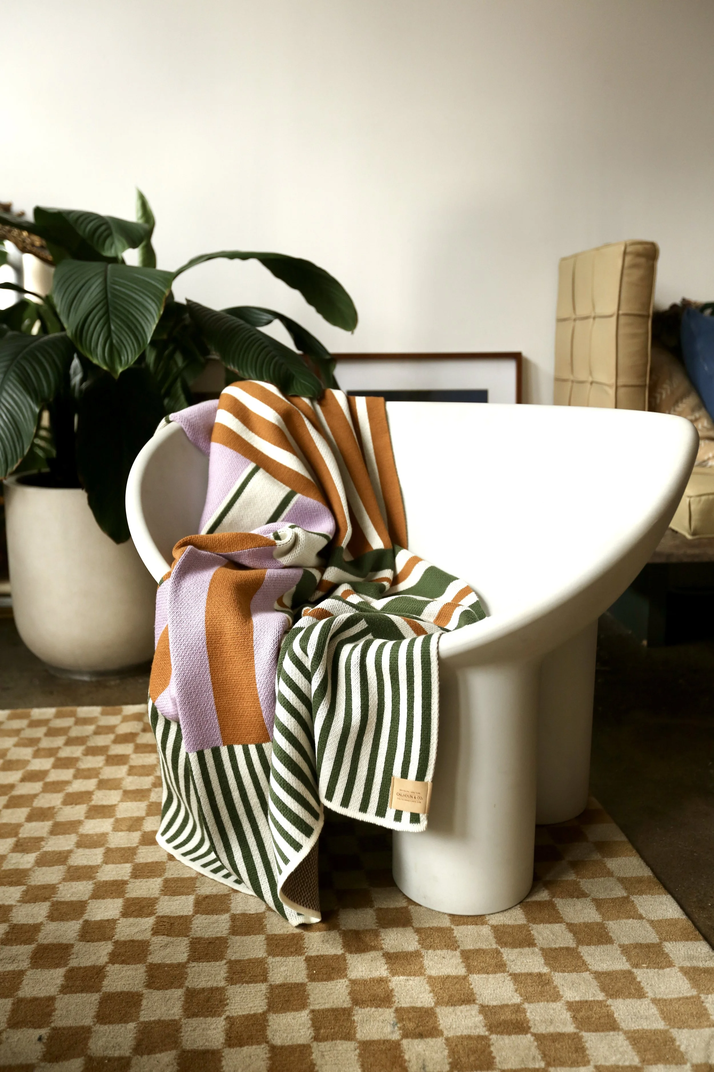 patchwork stripe bee orchid MGP_0488.JPG