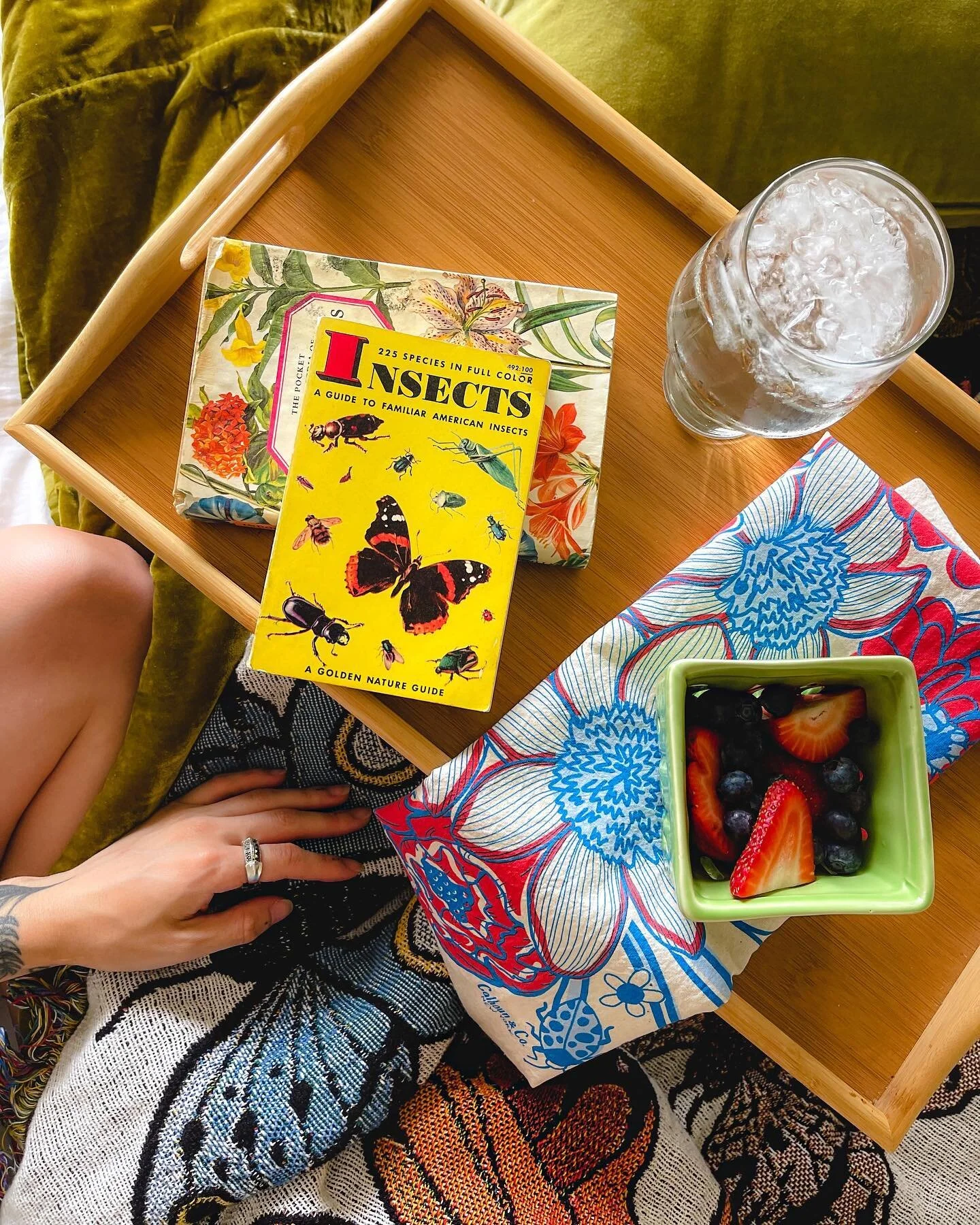 Botanicals &amp; nature inspired 💗🌼🦋🌿🪲 snapshot by @jordan.cashen