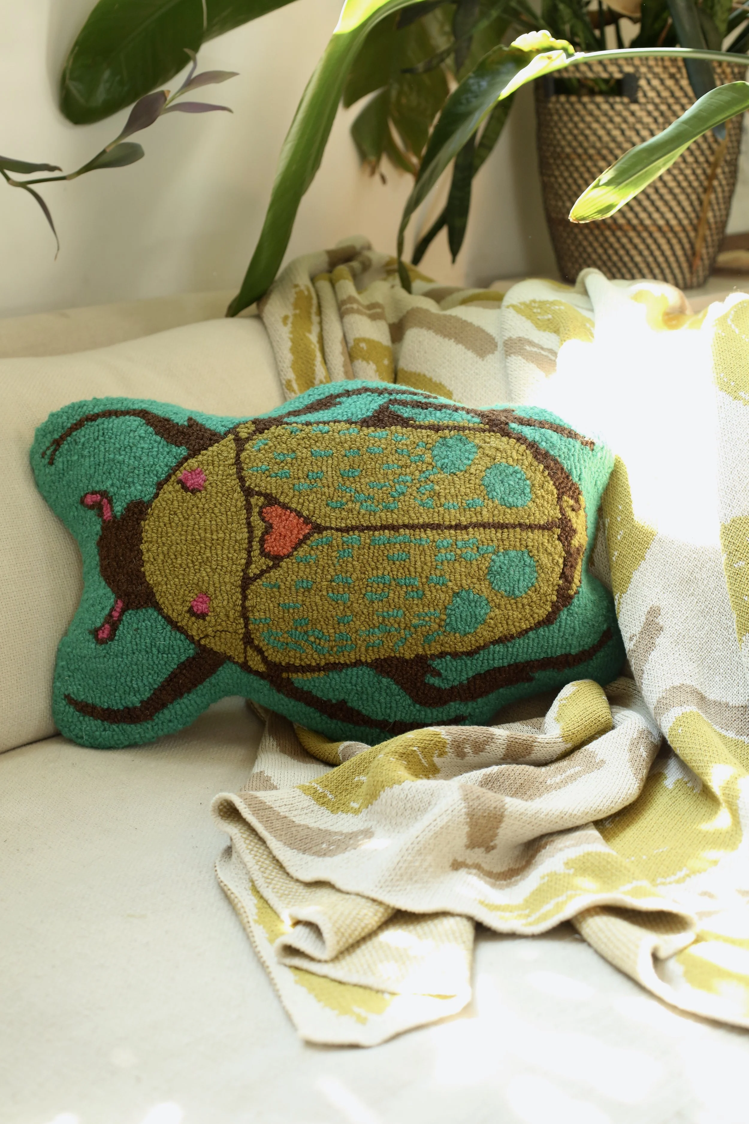 Pillow Beetle MGP_3831.JPG