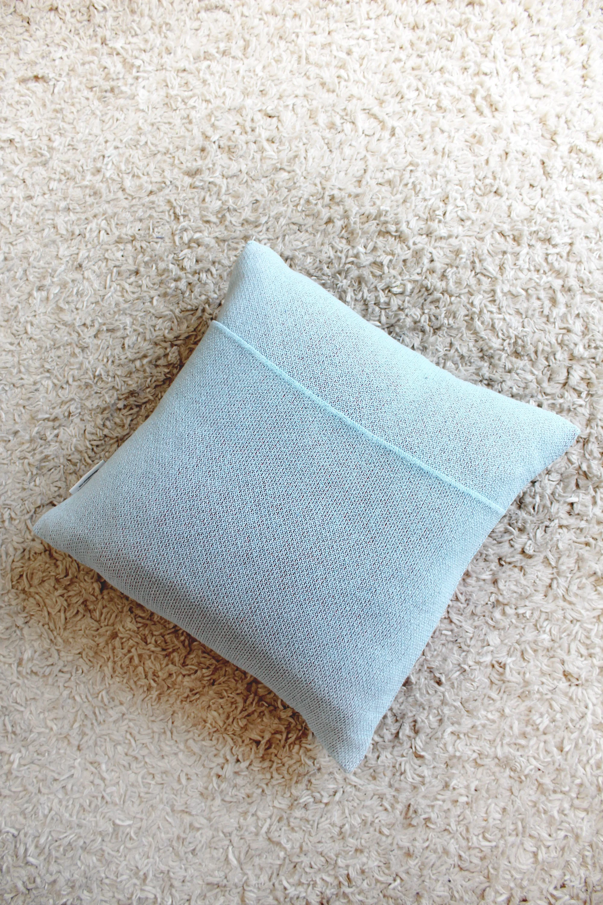 pillow shrimp IMG_7590.JPG