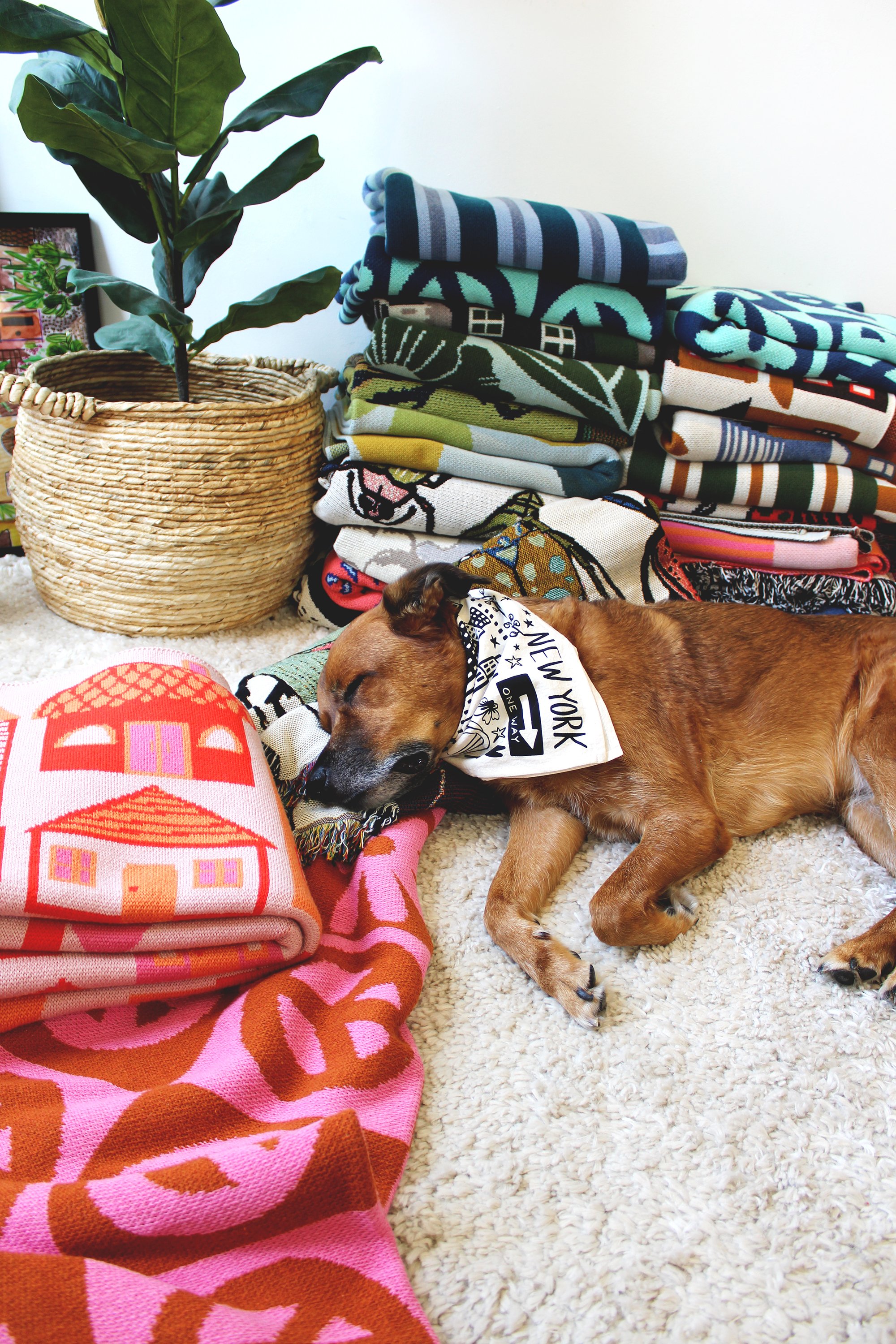 blankets slug club IMG_4359.JPG