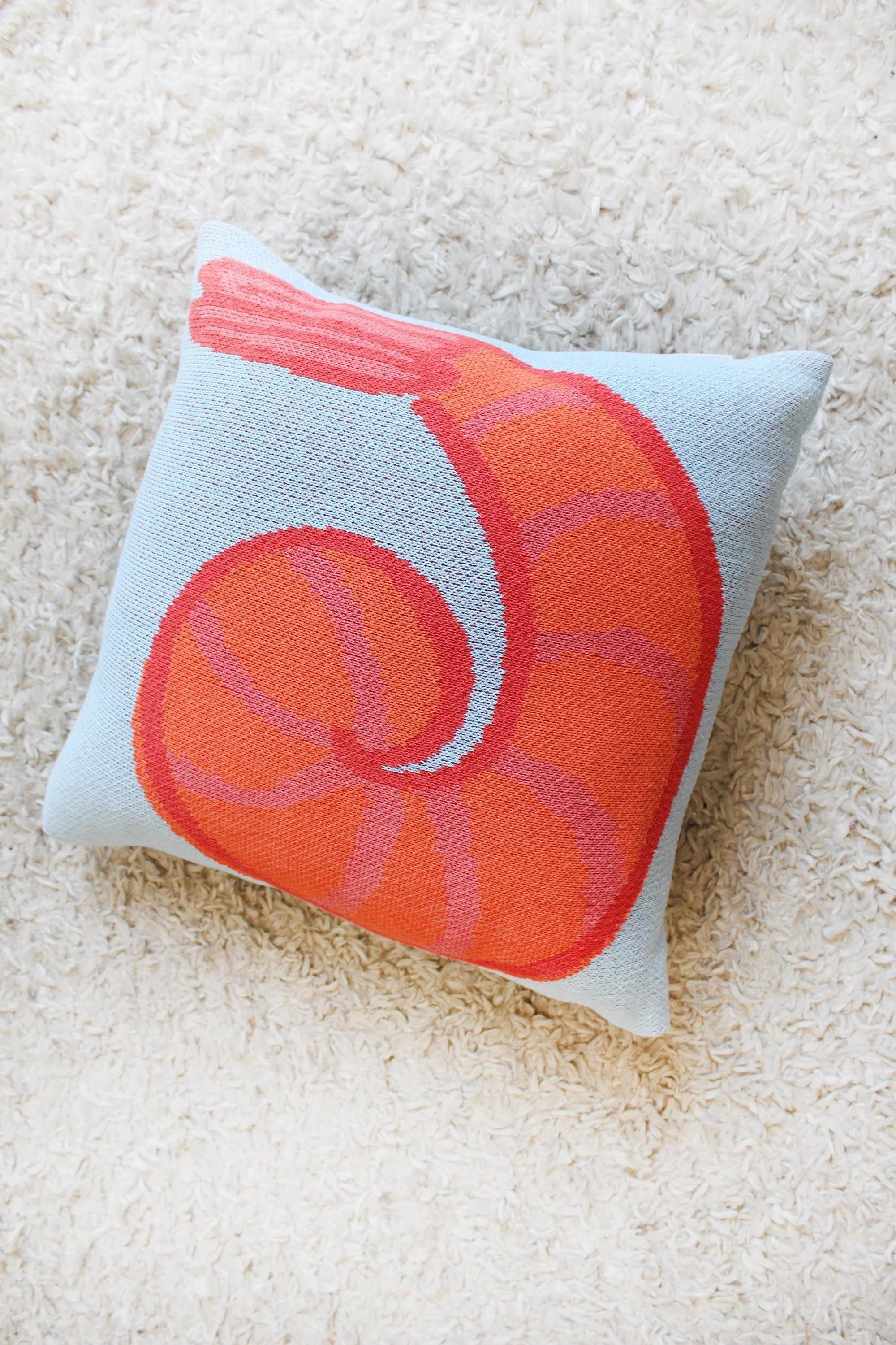 pillow shrimp IMG_7588.JPG