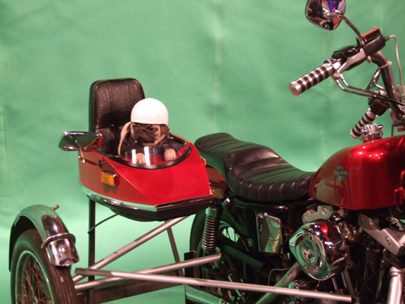 Pug Sidecar for SNL