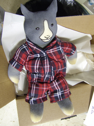foam cat toy for SNL