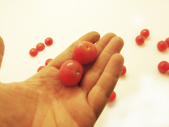 Fake Cherry Tomatoes