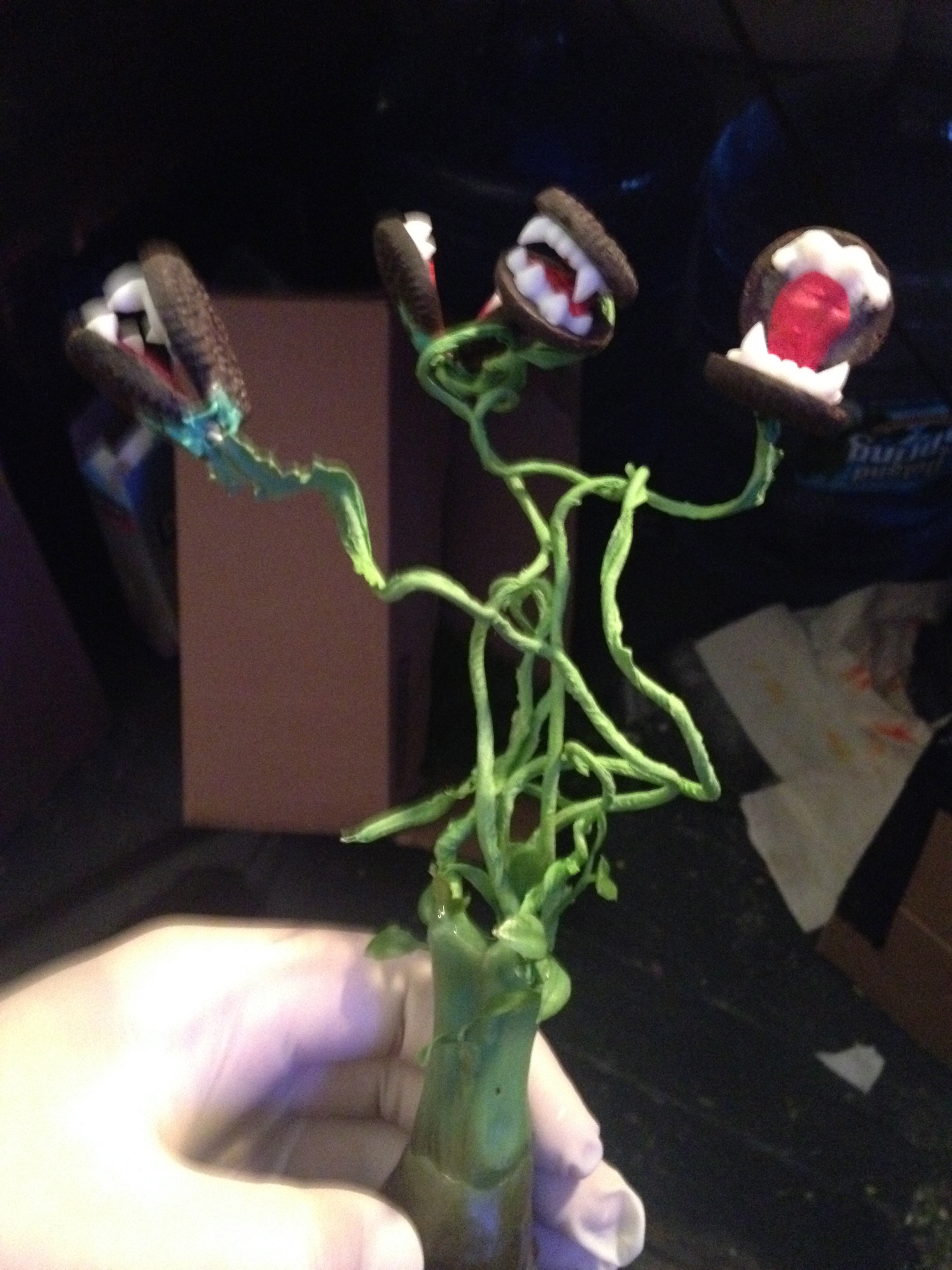 animation plant morph