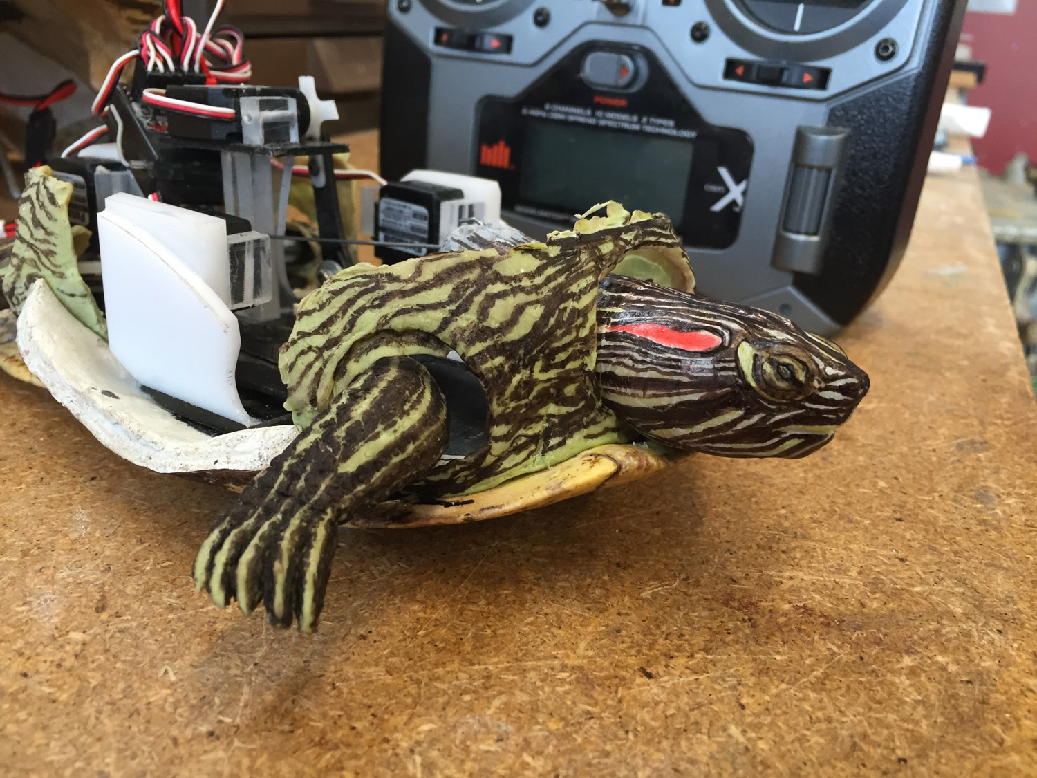 Rigged Realistic Turtle Model