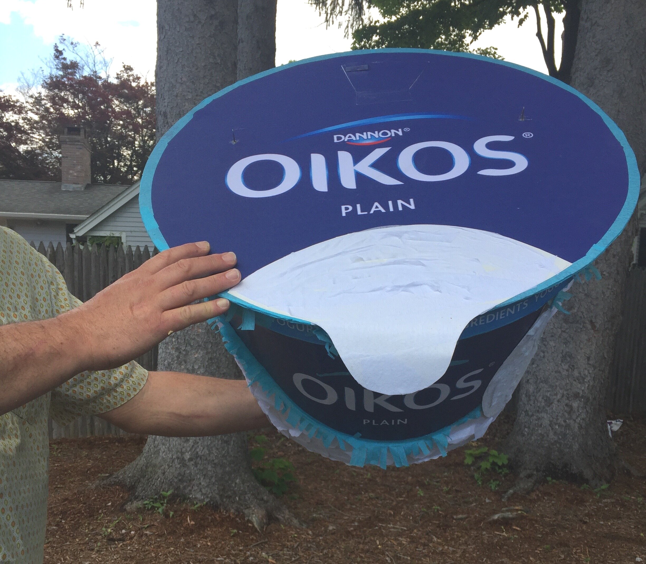 Giant Oikos Yogurt Pinata