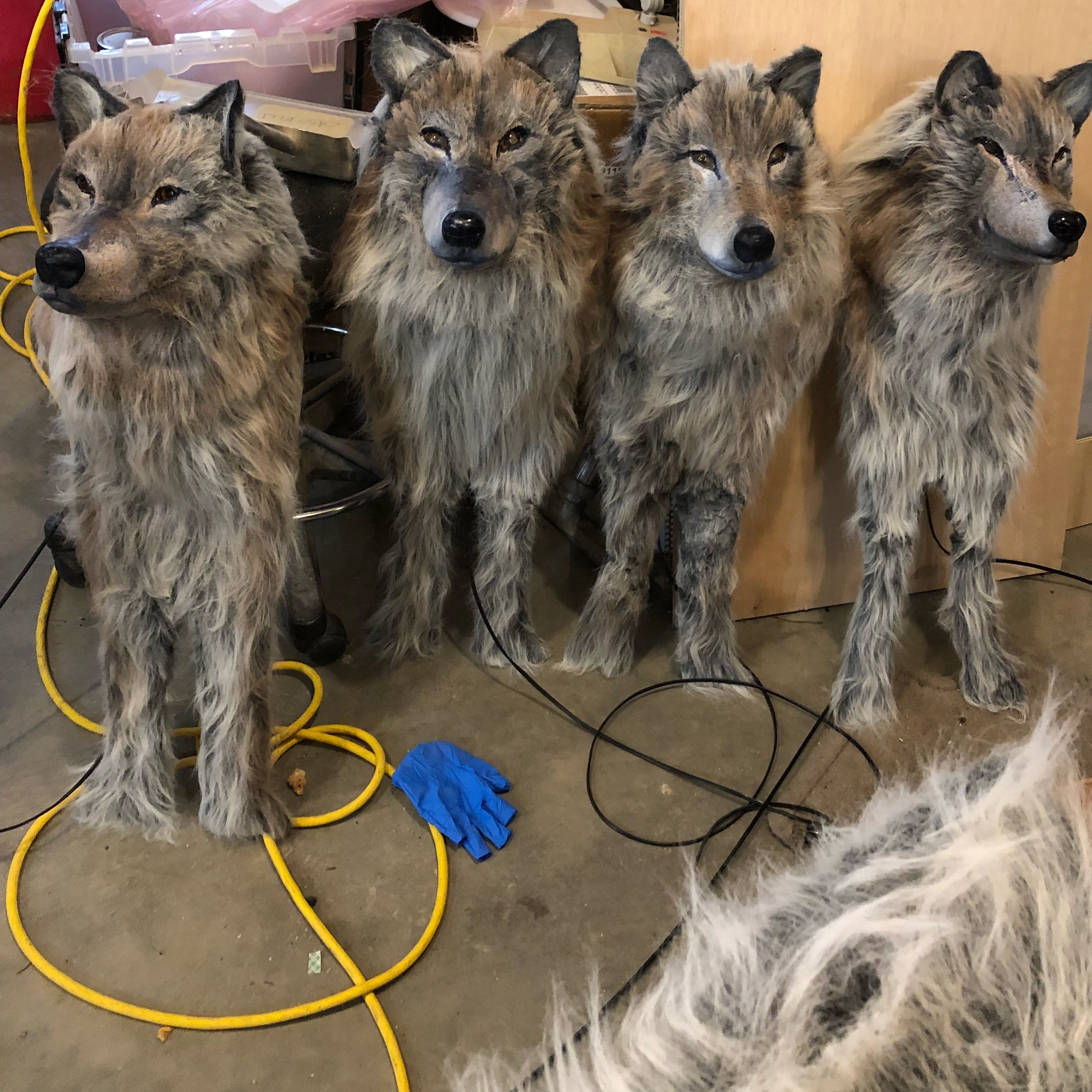 fake wolves, extra furry, blinking eyes