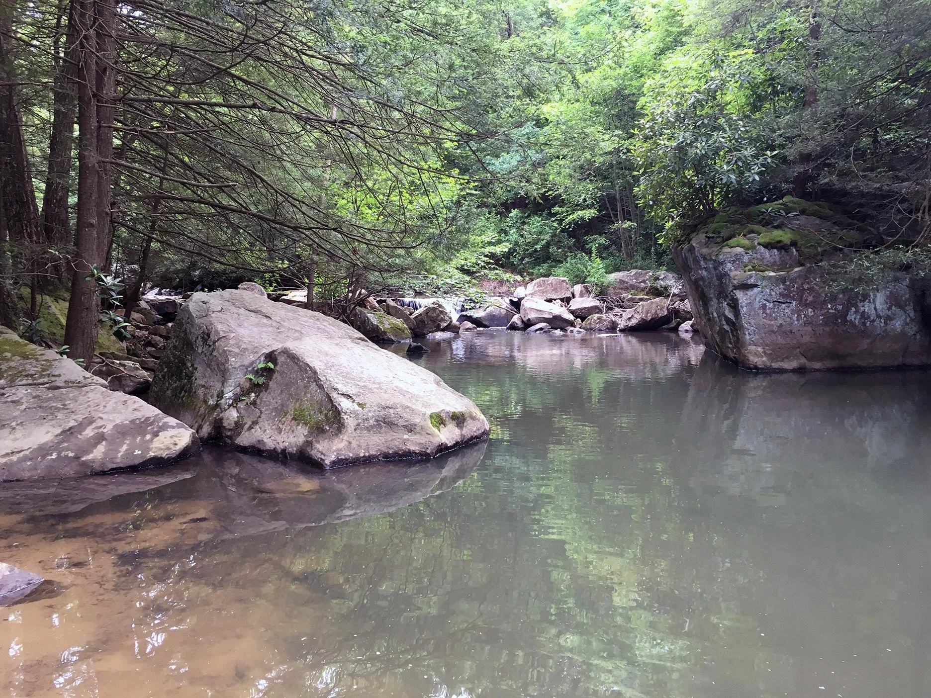 An upstream view of Beaver Creek.