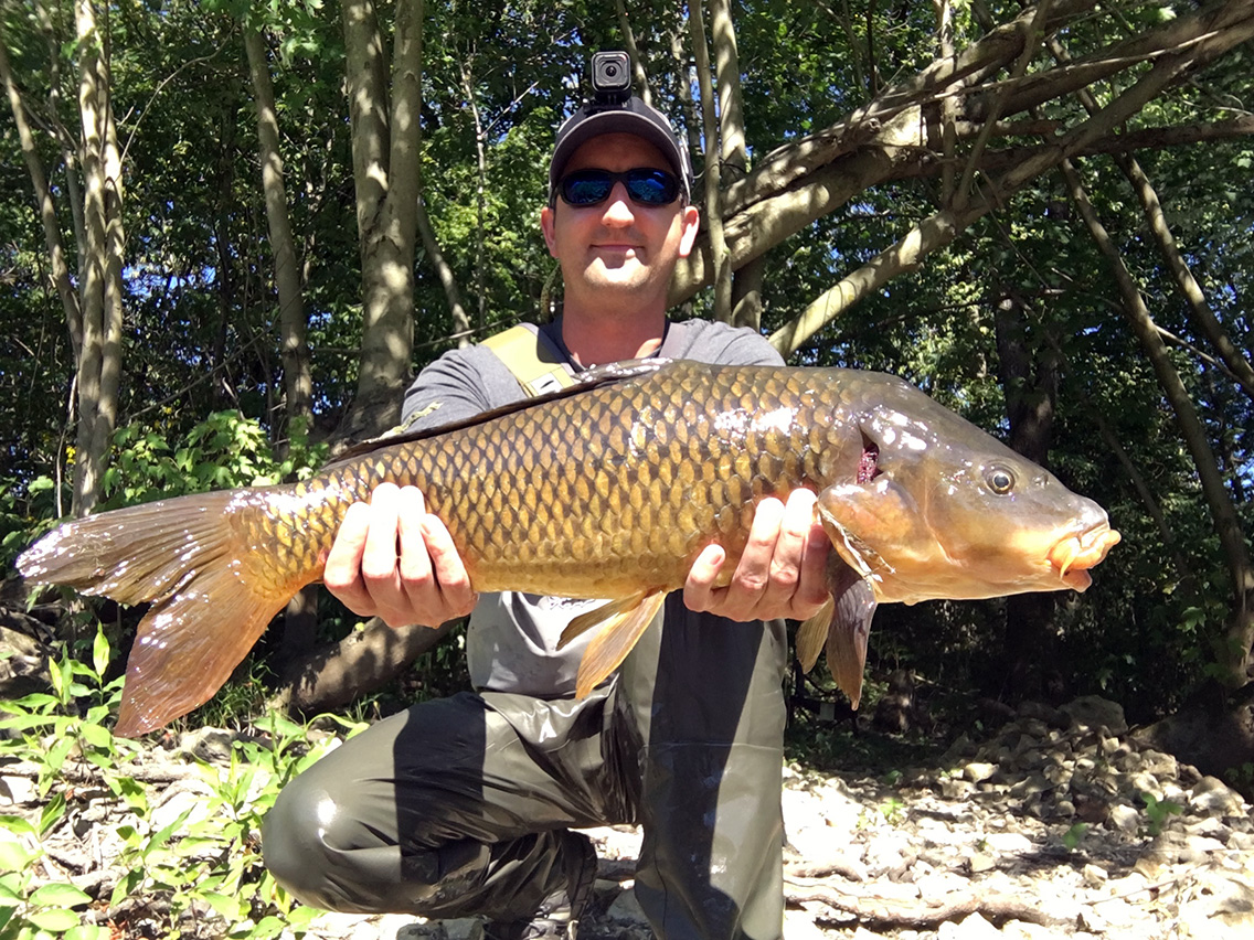 The third carp I caught on a micro-nuke egg, this fish was in the 25-26" range.