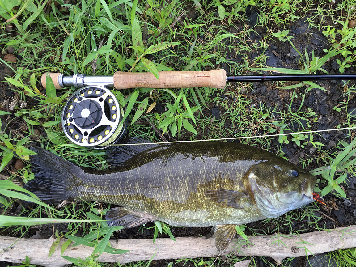 Summer Smallies And My Favorite Crayfish Patter — Wooly Bugged