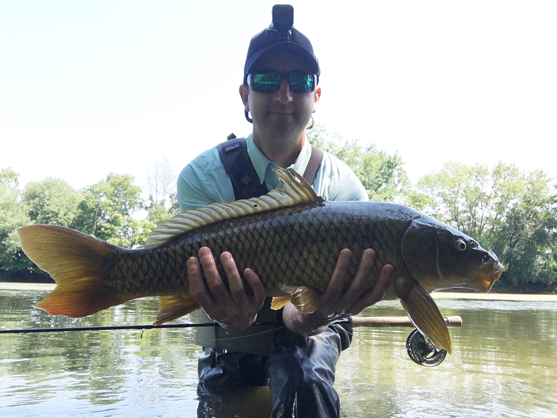 The second carp I landed that went on an incredible run downstream.