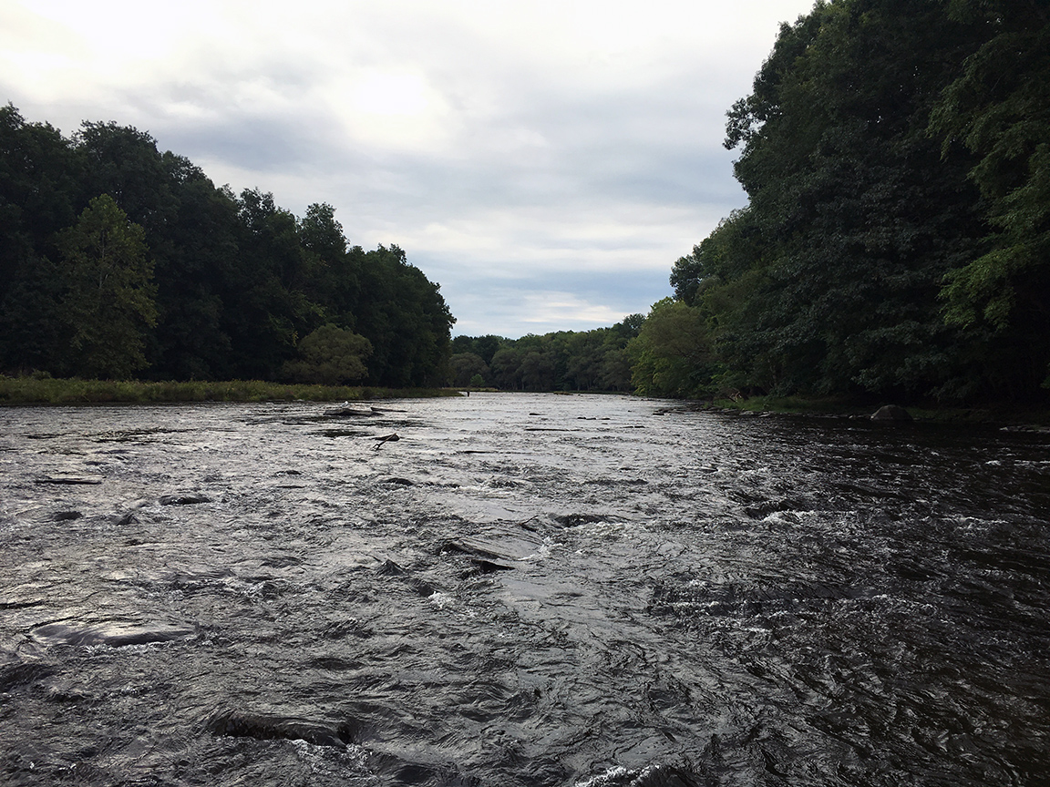 The Salmon River looking upstream from the Joss Hole area.