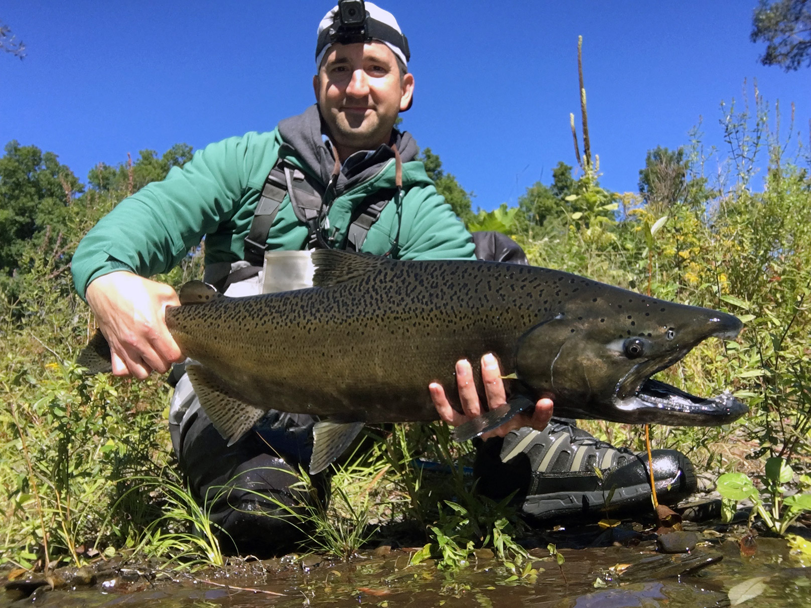 The Chinook that ran downstream and took me under a fallen tree.