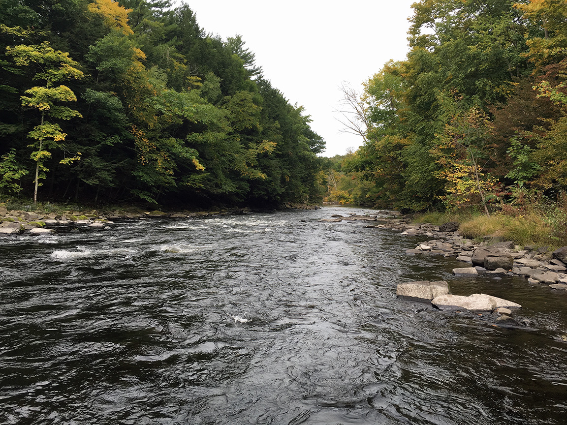 A good stretch on the Upper Fly Zone, running at around 250CFS.