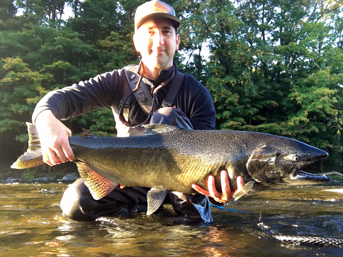 The first Chinook I caught on the morning of October 7th.