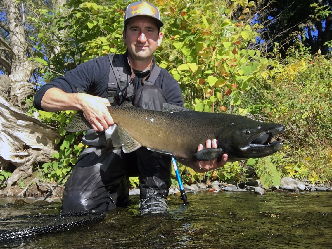 The salmon that snapped my Orvis H2 fly rod in half.