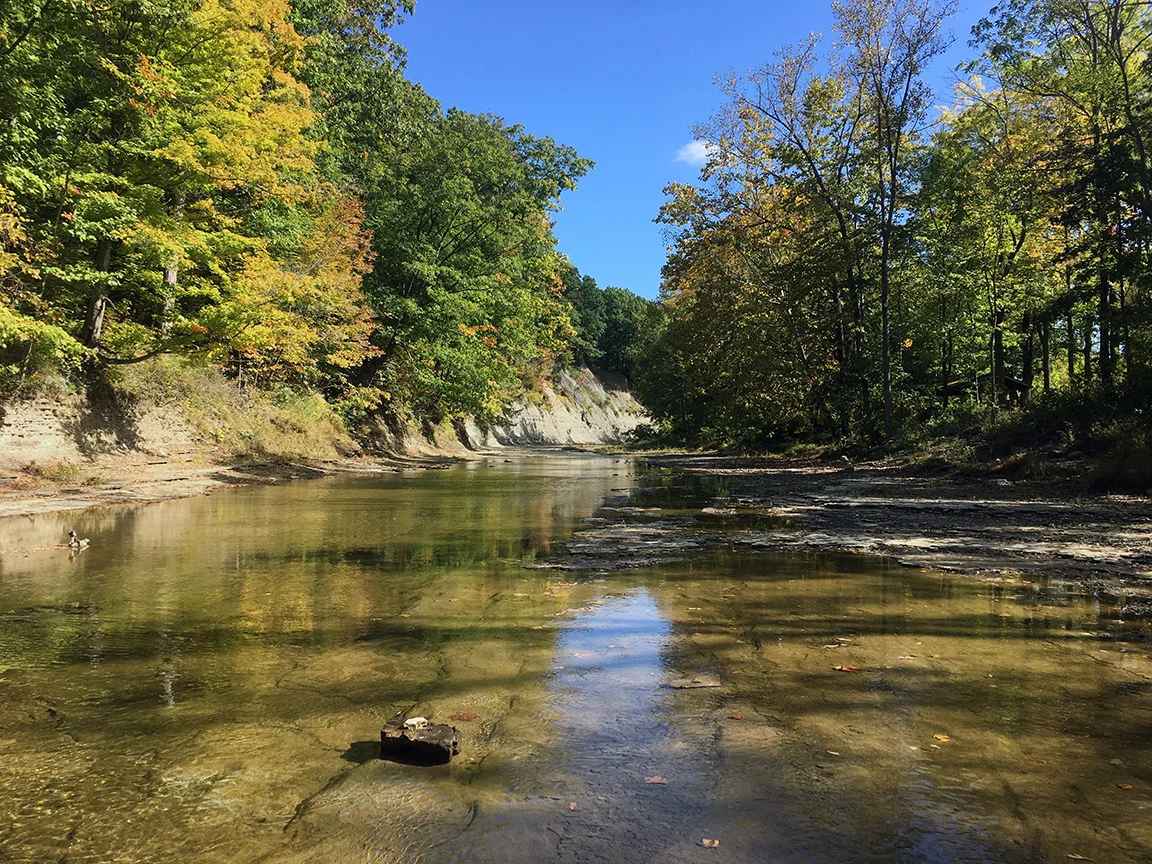 The low water on Elk Creek above the Rt. 20 bridge and the Legion Hole.