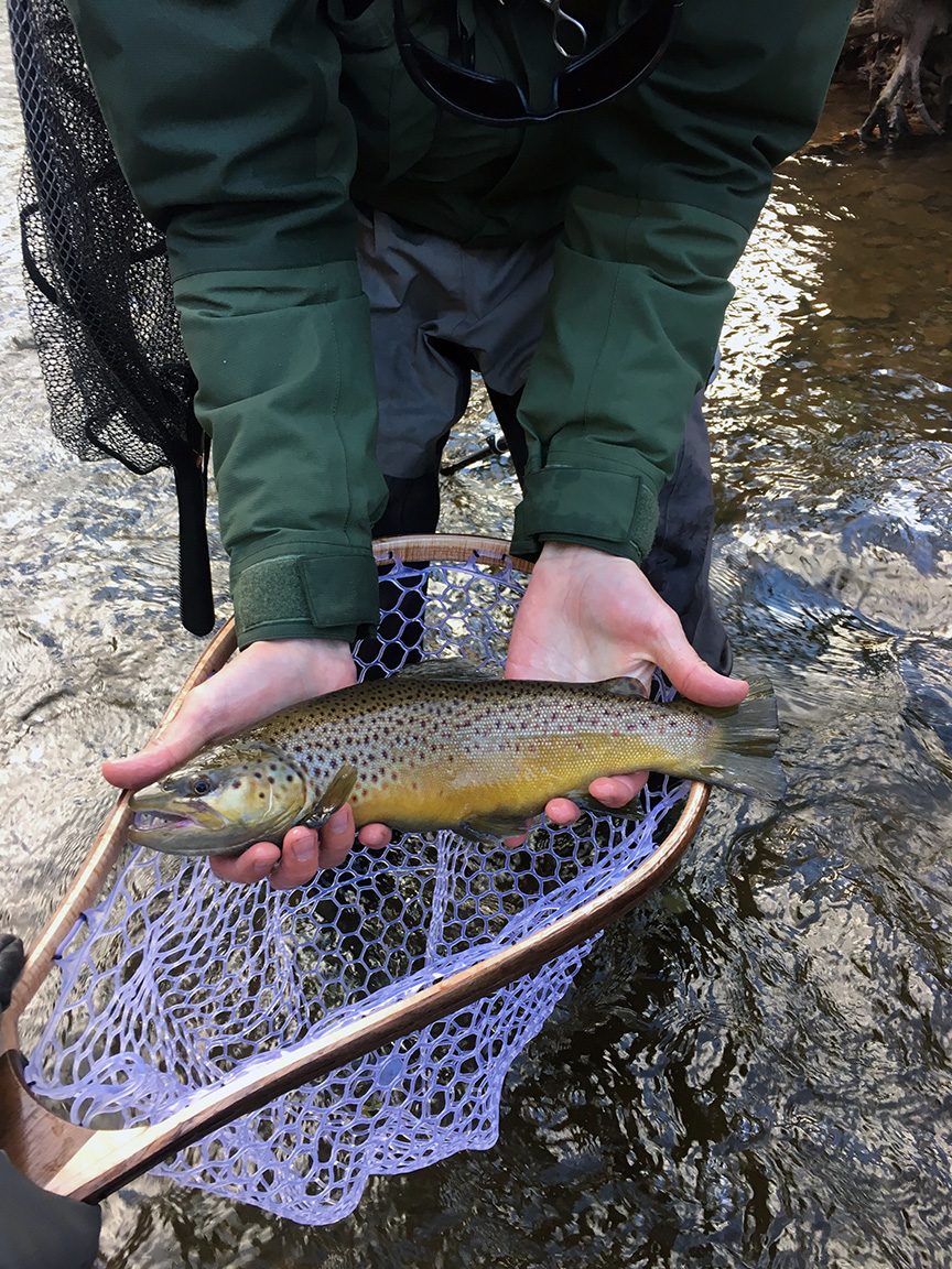 oak orchard tackle and lodge