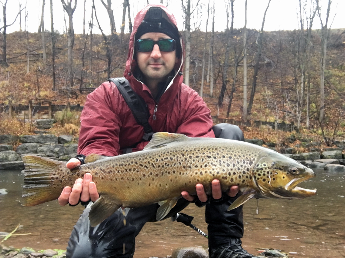 My largest brown trout on a fly rod to date.