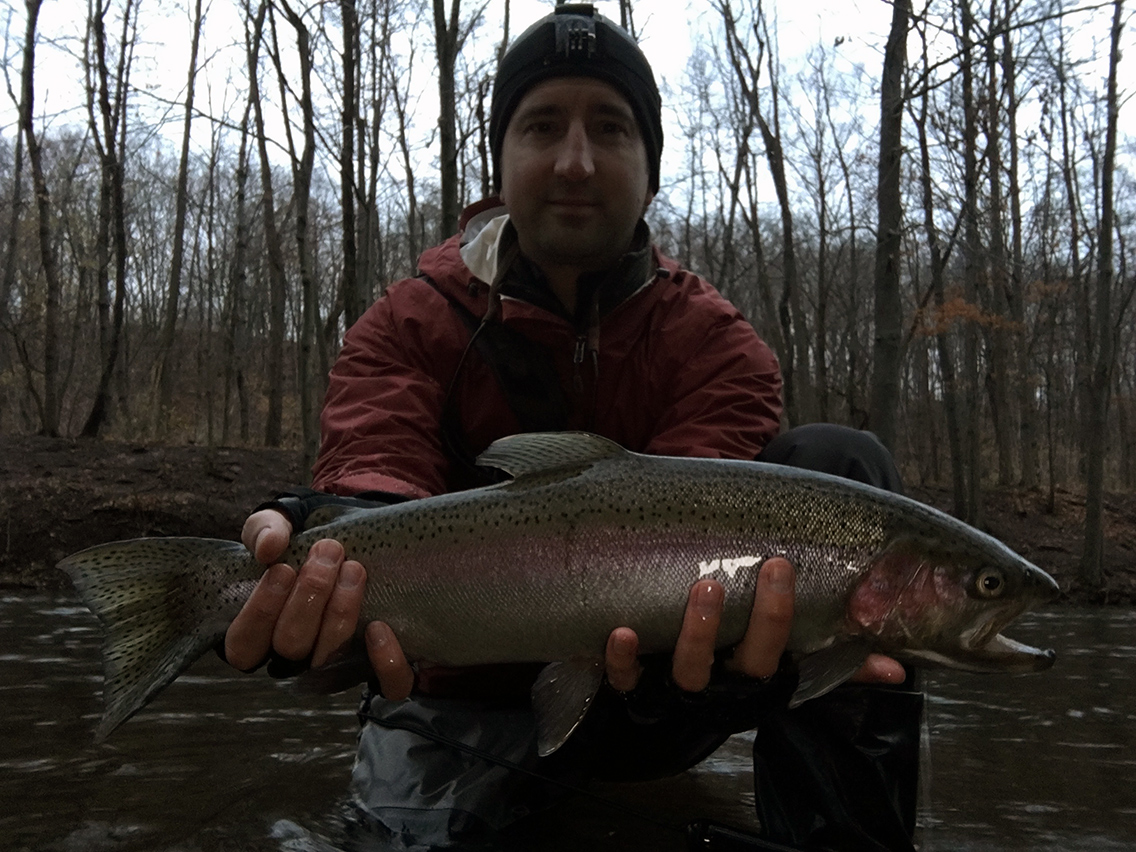 The steelhead I caught on Mark's egg sack pattern just before leaving the Oak.