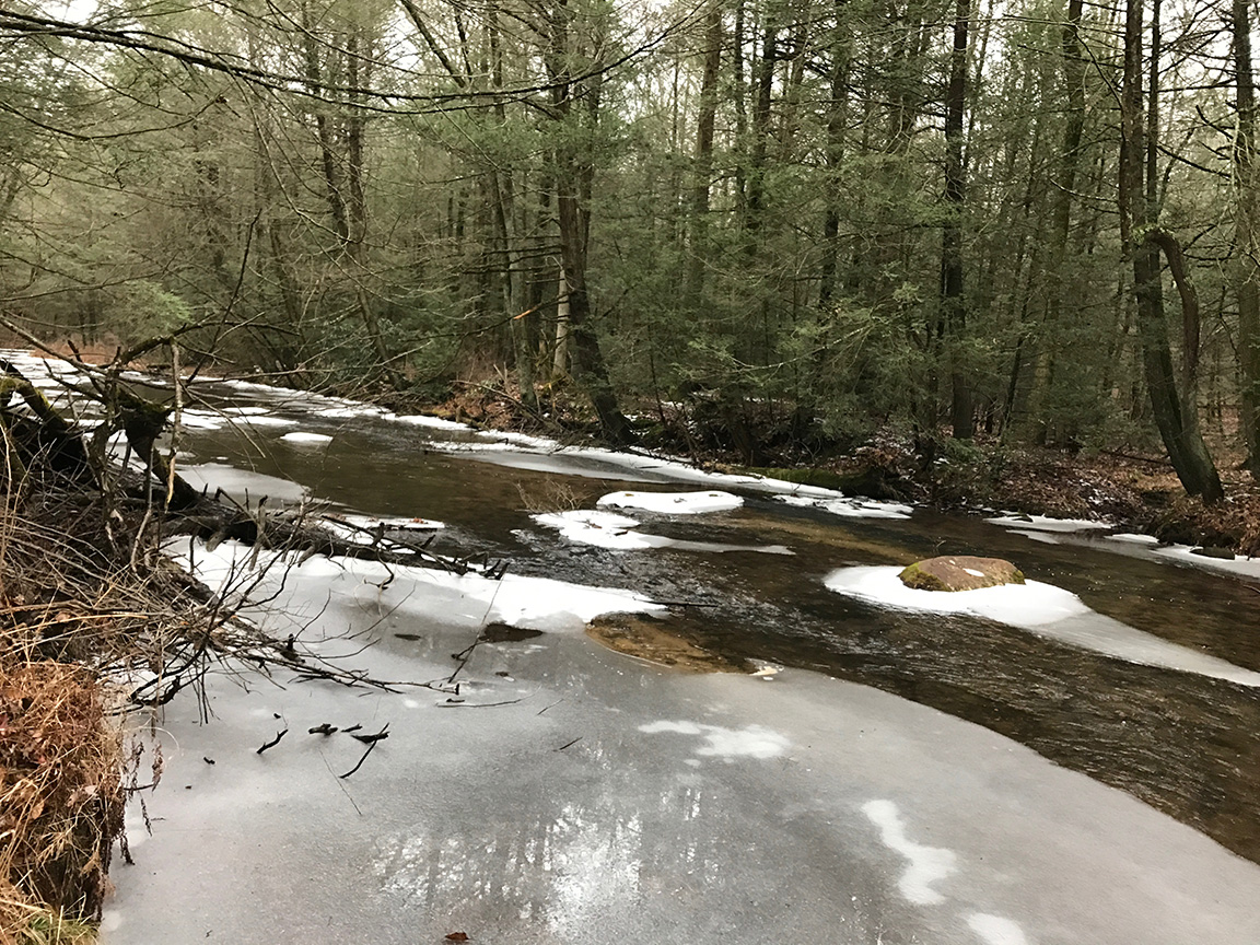 Some of the open but shallow riffle water upstream on Clarks Creek.