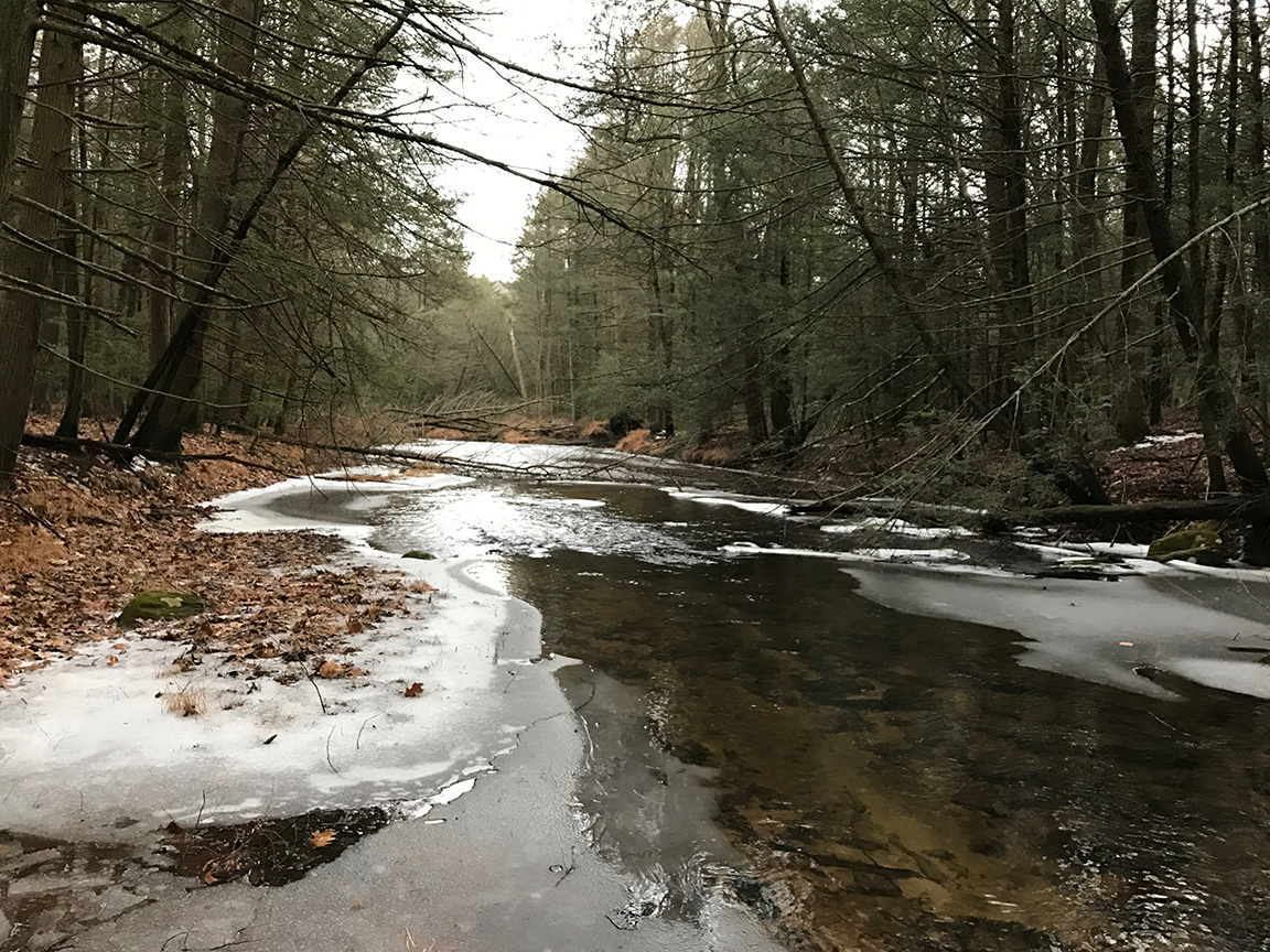 The open water I found downstream where I was unable to locate any trout.