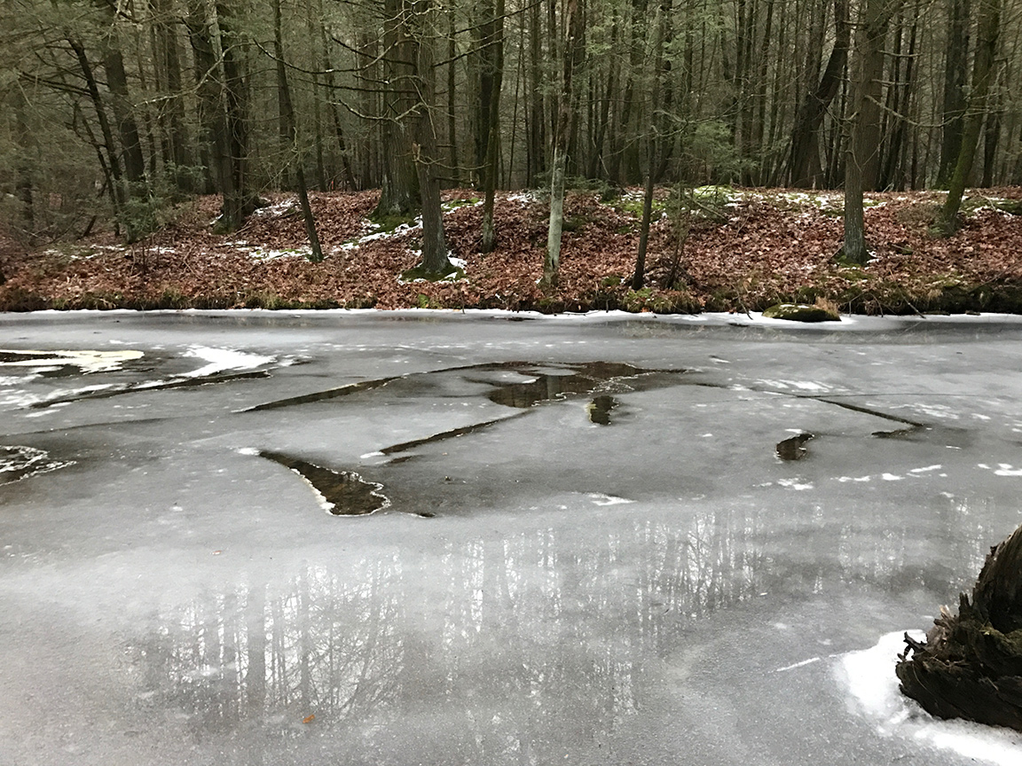 One of the many sections of Clarks Creek entirely iced over.