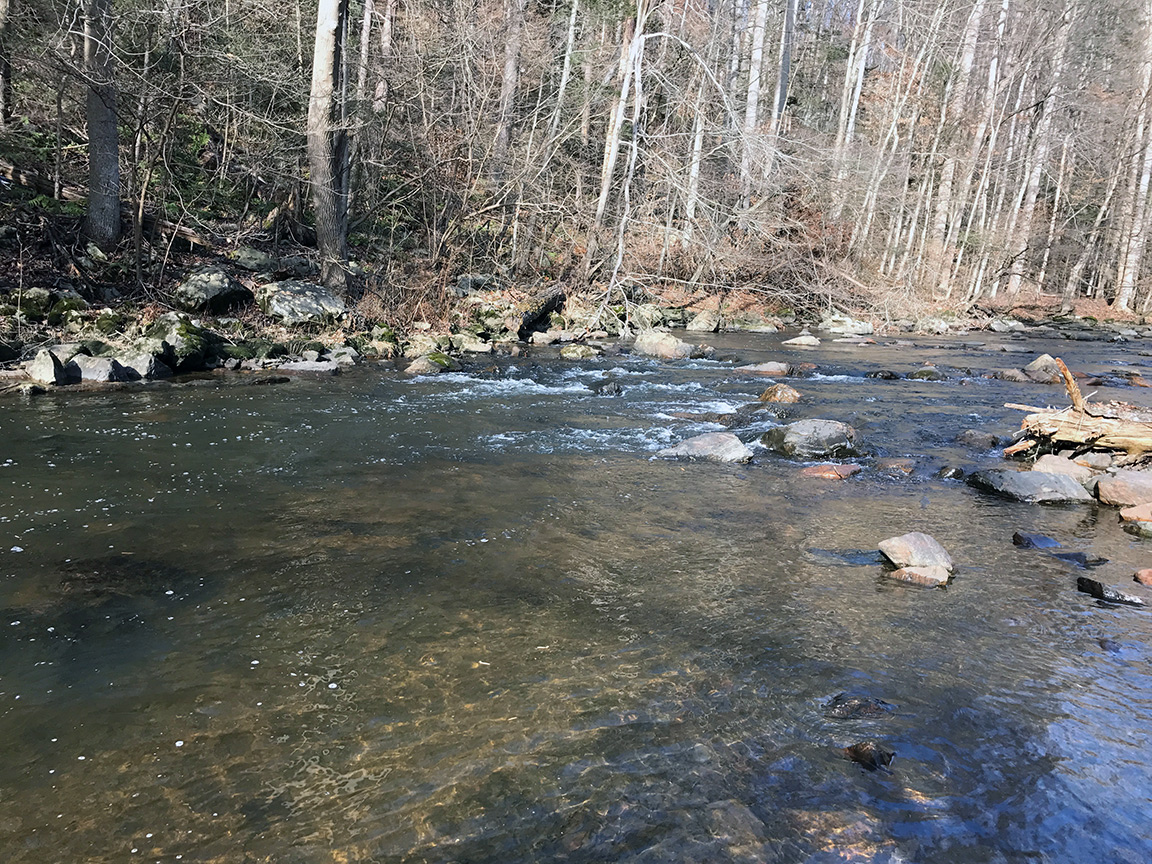 The riffle where I briefly hooked up with a nice brown trout.