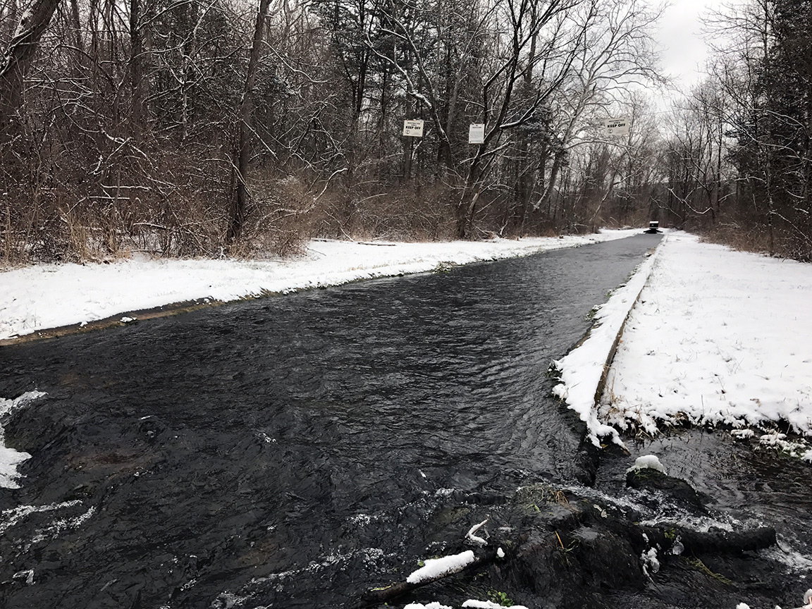 Looking upstream on the Pequest Trout Hatchery outflow.